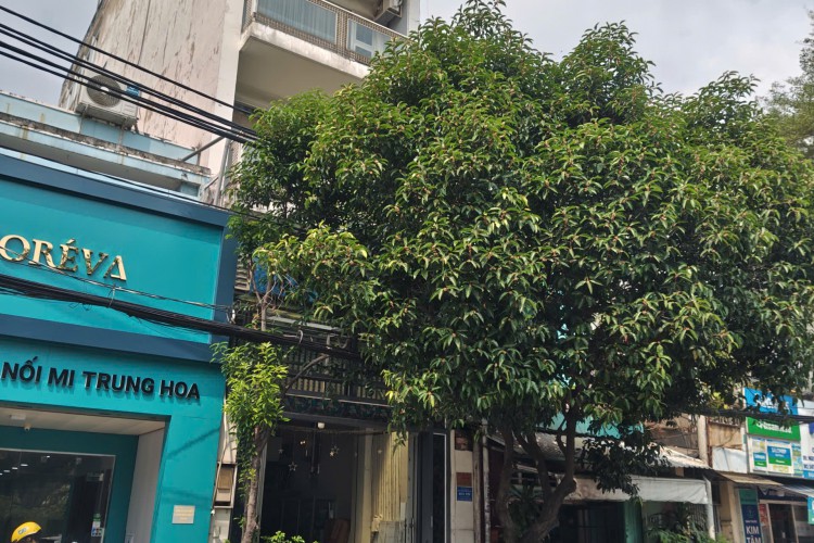 Bán nhà 143 Thành Mỹ - 4,15x24m - 6 tấm - Giá 23 tỷ!