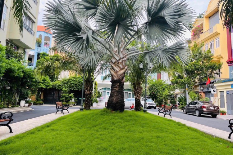 Bán nhà 357A/21H Nguyễn Trọng Tuyển - DT 8x22m - 4 tấm thang máy khu compound - Giá 69 tỷ!